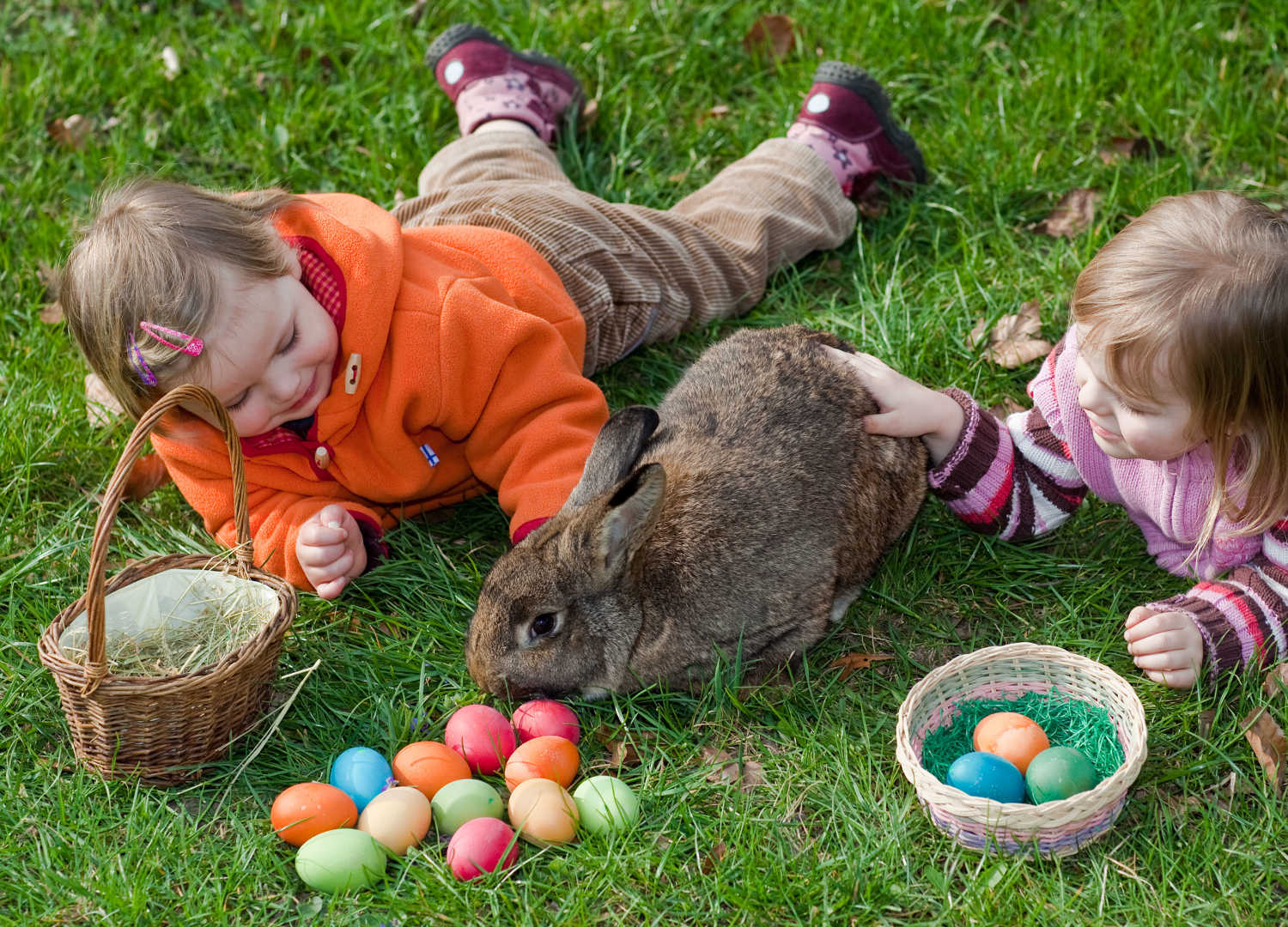 bunny-bash
